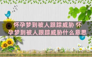 怀孕梦到被人跟踪威胁 怀孕梦到被人跟踪威胁什么意思